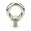 Davey & Company LTD Eye Bolts - Stainless Steel Din 580 Screw Eyes